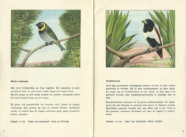TROPISCHE ZAADETENDE VOGELS 1 – KONINKLIJKE P. SLUIS – 1954