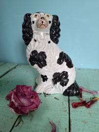 Victoriaans hondje