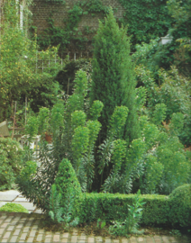 Het kleine Paradijs – Elisabeth de Lestrieux / Fotografie: Marijke Heuff - 1984