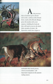 NATIONAL GEOGRAPHIC - VOL. 174, NO. 6 - DECEMBER 1988