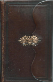 HET NIEUWE TESTAMENT, OF ALLE BOEKEN DES NIEUWEN VERBONDS … - 1901