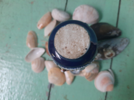 Vaas met schelpen