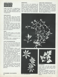 doe het zelf – in huis en tuin – 12 stuks (1971)