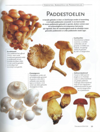 INGREDIËNTEN – ANNEKE AMMERLAAN – 1997
