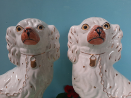 Schouwhondjes (Hoerenhondjes)