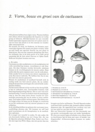 Elseviers Cactussen boek – S.K. BRAVENBOER - 1978