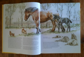 HET BOERENPAARD DE LAATSTE OMGANG – WIM ROMIJN - 2003