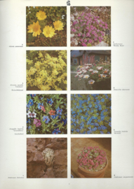 2000 tuin/ kas/ en kamerplanten in kleur – Roy Hay en Patrick M. Synge - 1970