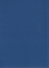GETROFFEN in woord en beeld – Pieter Kooistra - 2002