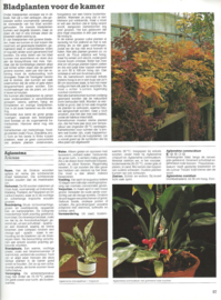 HET GROTE TUIN & KAMER PLANTENBOEK – ROB HERWIG - 1986