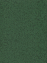 Nieuwe Geïllustreerde Lekturama Encyclopedie - deel 1 - A-ANGA - 1981 (1)