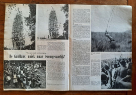 WERELDKRONIEK – ‘tachtigste verjaardag Wilhelmina’ - 1960