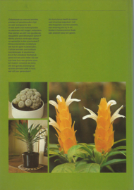 modern kamerplanten boek – daan smit - 1975