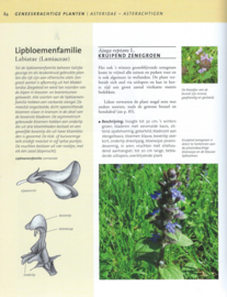 Geneeskrachtige PLANTEN & KRUIDEN – Dr. Ute Künkele, Till R. Lohmeyer - 2009