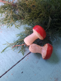 Paddestoelen 2