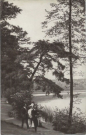 Ansichtkaart – Oisterwijk – Esscheven - 1910