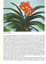HET NIEUWE KAMERPLANTENBOEK – G. KROMDIJK - 1974