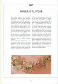 SFEERVOLLE BLOEMCOMPOSITIES MET NATUURLIJKE MATERIALEN – MING VEEVERS-CARTER - 1991
