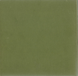 Serooskerke (W) zoals het was ….. – C. van Winkelen – 1978
