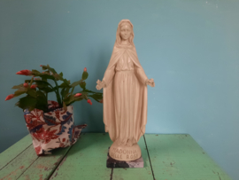 Madonna delle rose