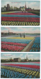 SET van 3 ansichtkaarten – Lisse-Sassenheim - 1909