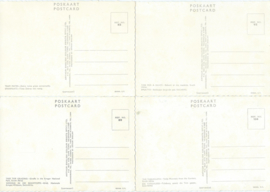 SET van 12 ansichtkaarten - Zuid-Afrika - jaren ‘60