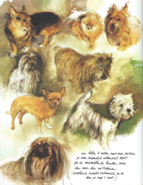 Braaf – Rien Poortvliet - 1983