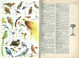 PEQUEÑO LAROUSSE ILUSTRADO - RAMÓN GARCÍA-PELAYO Y GROSS - 1975
