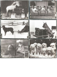 ADRESBOEKJE – AB t/m YZ