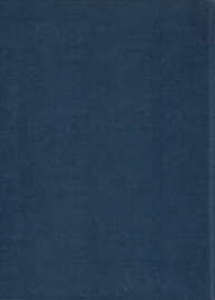 oerwouden langs de amazone – Marcia Willis - 1971