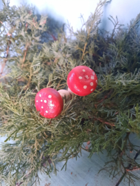 Paddestoelen 2