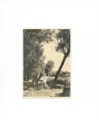 PRENTBRIEFKAART - LANDSCHAPSERIE Nr. 6 - HAAREN (N.B.) - ca. 1946