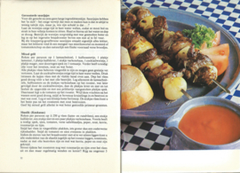 Barbecue en Grill buitenshuis en thuis - JANOS ZADAR - 1975