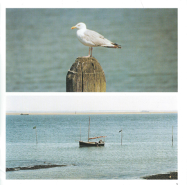 Oosterschelde – brochure – J.F. Brilman en H.S. Zandstra - 1998
