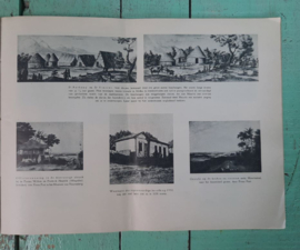 JOHAN MAURITS VAN NASSAU – C. MOLENGRAAFF-GERLINGS – ca. 1930