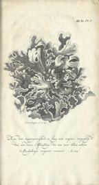 KATECHISMUS DER NATUUR DOOR J.F. MARTINET – DERDE DEEL - 1778