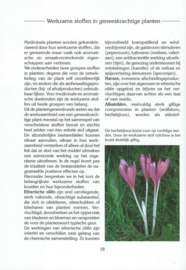 GROOTVADERS beste KRUIDENBOEK - Paul Seitz - 2002