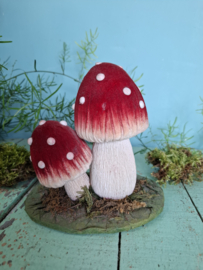 Paddestoelen, rood met witte stippen