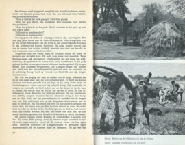 Het Olifantenvolk – DENNIS HOLMAN - 1969