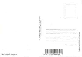 SET van 3 reclamekaarten Carlos Velasco – ca. 2003