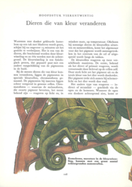 Wereld der Wetenschap – deel 13 Biologisch Evenwicht – Grondslagen der ecologie – 1966