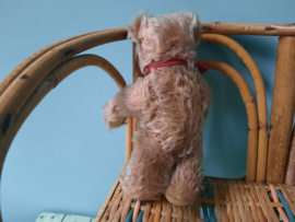 Steiff beer Zotty