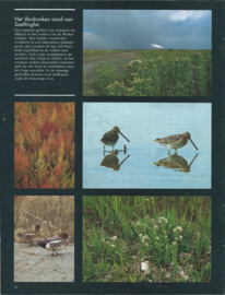 Zeeuws Landschap - 31 nummers (1991-2001)