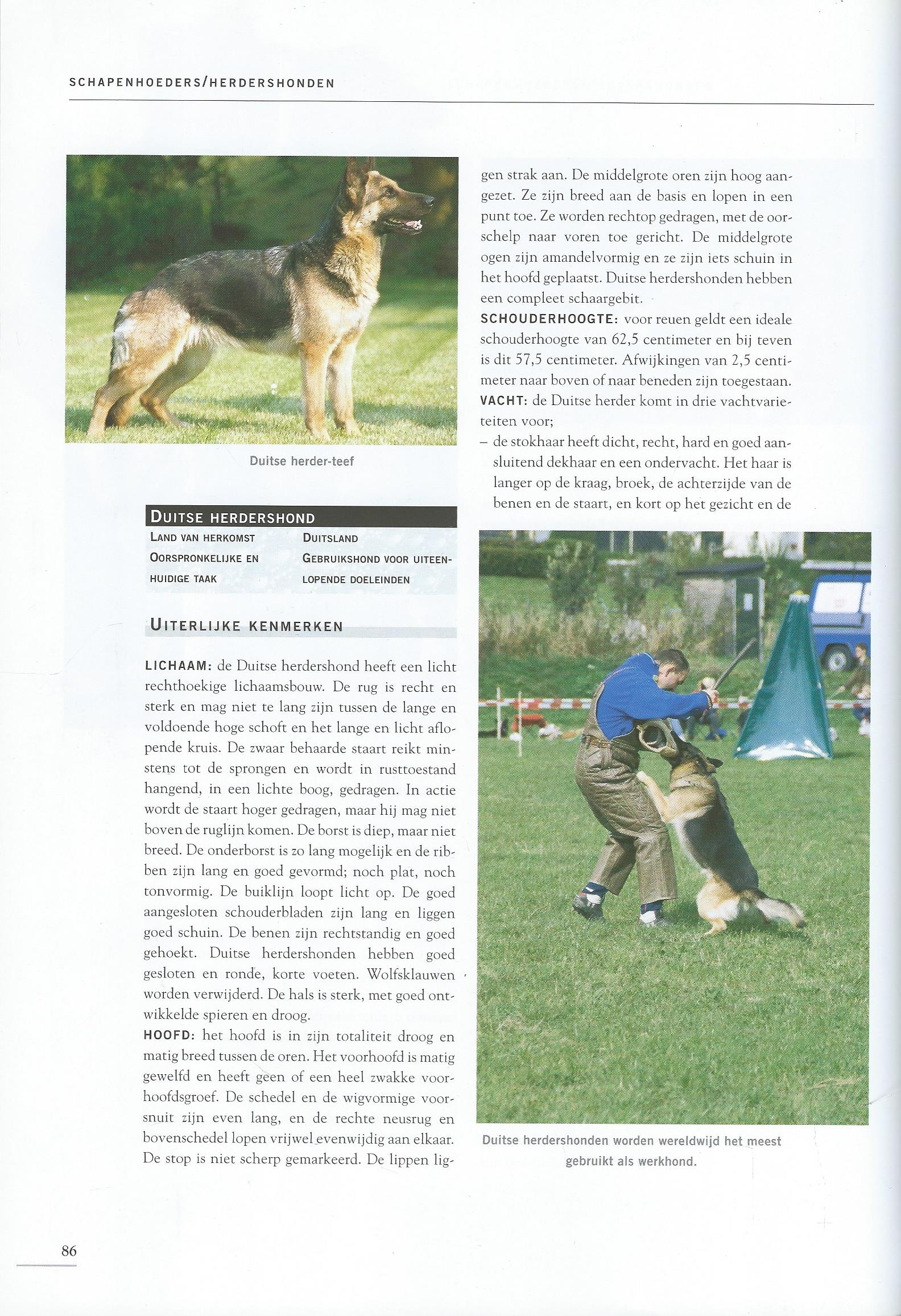 DE GROTE HONDEN ENCYCLOPEDIE - Esther Verhoef - 2007