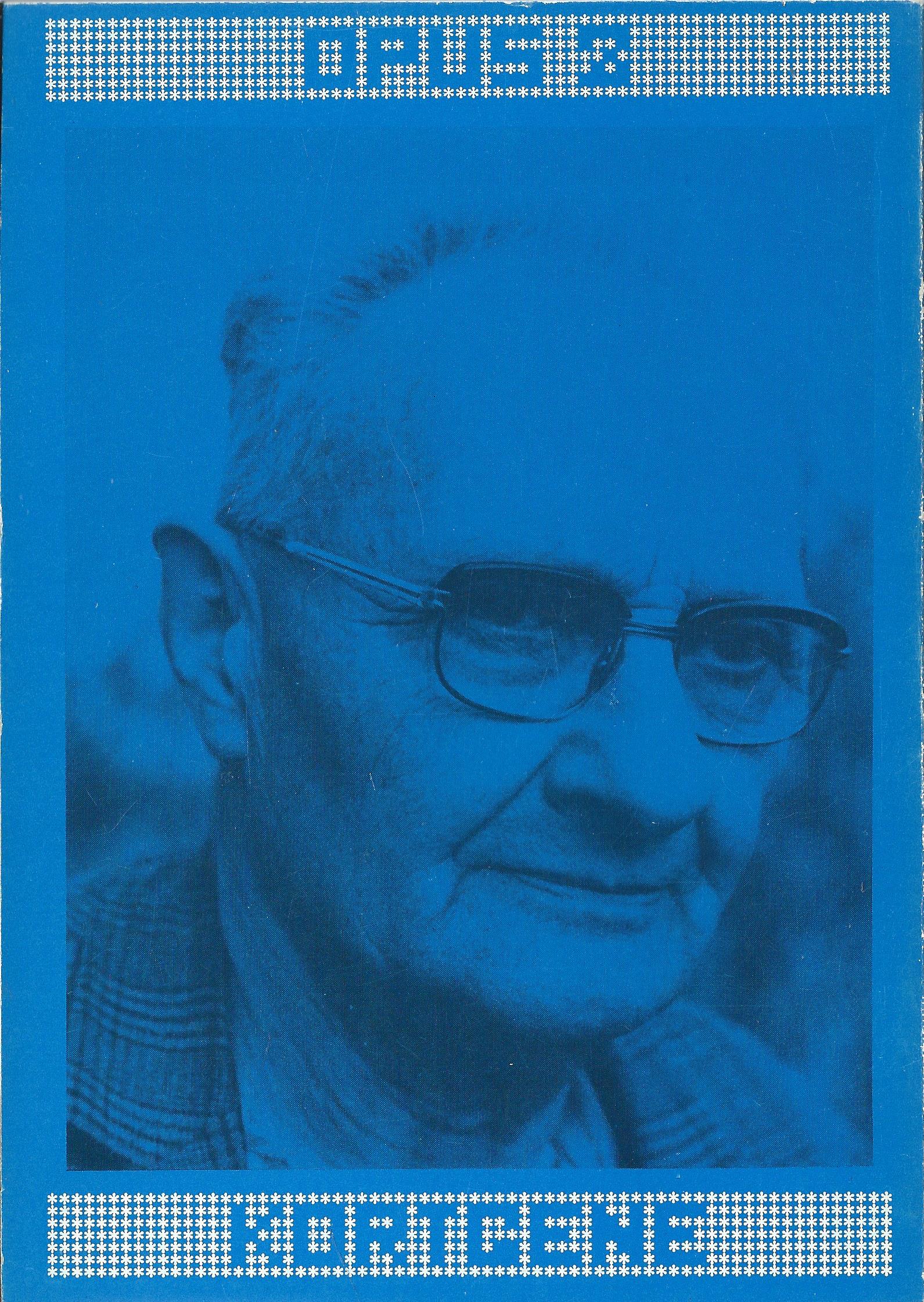 HET WREDE GRAUWE WATER – HENDRIK STURM – 1974