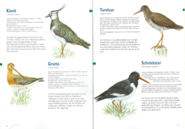 In vogelvlucht – G. Atzema e.a.