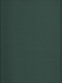 Middeleeuws panorama – Robert Bartlett - 2002