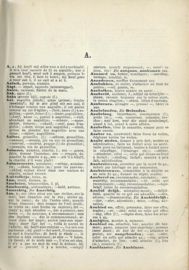 CAMPAGNE'S SCHOOLWOORDENBOEK DER FRANSCHE EN NEDERLANDSCHE TALEN ... - 1900