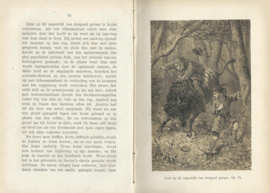 ALPIN EN SIGUNE- J. BOKMA DE BOER - 1891