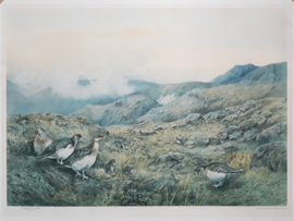 Prent – Partridge in Highland Landscape – Charles Stanley Todd - 1972